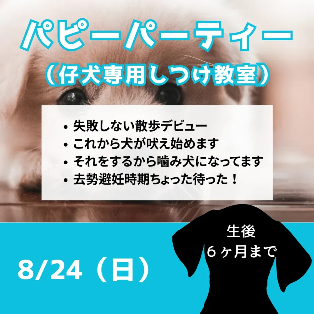 パピーパーティ